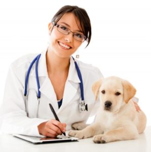 Happy Veterinarian with Dog