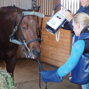 DentiPod Intraoral Dental Radiography for Equine, for use with Cattro Hub