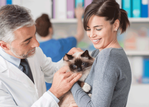 Doctor with pet owner and cat