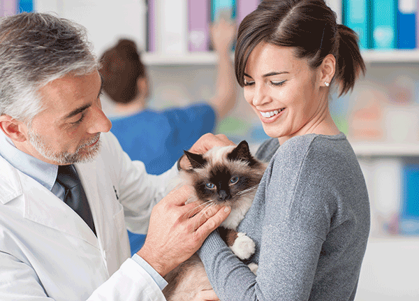 Doctor with pet owner and cat