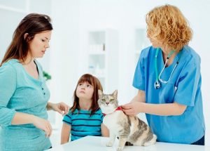 Veterinarian talking to clients