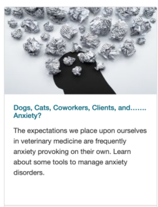 Dogs, Cats, Coworkers, Clients and Anxitey? Article