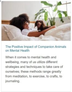 Mental Health and companion animals