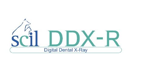 Digital Dental X-Ray